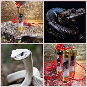 Ultimate 2in1 White & Black King Cobra &quot;Nagamani&quot; Pearls, Wealth Attraction, Gambling, Extreme Good Luck, Protection, 100% Authentic Amulet