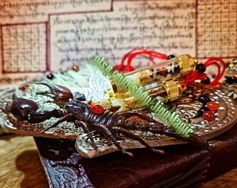 Centipede & Scorpio