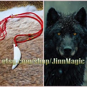 Véritable grande amulette de protection puissante en dent de loup noir - Extraite de la bonne manière magique !
