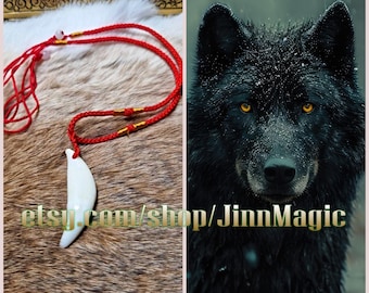 Real Big Black Wolf Tooth Powerful Protection Amulet, Extracted in The Right Magical Way!