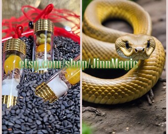 Puede incluir: Imagen dividida que muestra una serpiente amarilla enroscada y pequeños frascos de vidrio con tapas doradas. Los frascos contienen contenido amarillo y blanco, sobre un lecho de semillas negras. El texto "etsy.com/shop/JinnMagic" es visible.