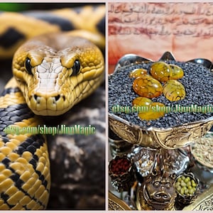 Rare Yellow King Cobra Nagamani Pearl, Magnet for Extreme Luck & Prosperity, Magical Thai Snake Stone For Wealth and Money Attraction Amulet