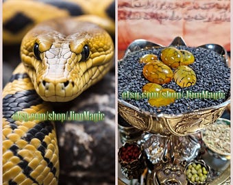 Snake Pearls (Nagamani)
