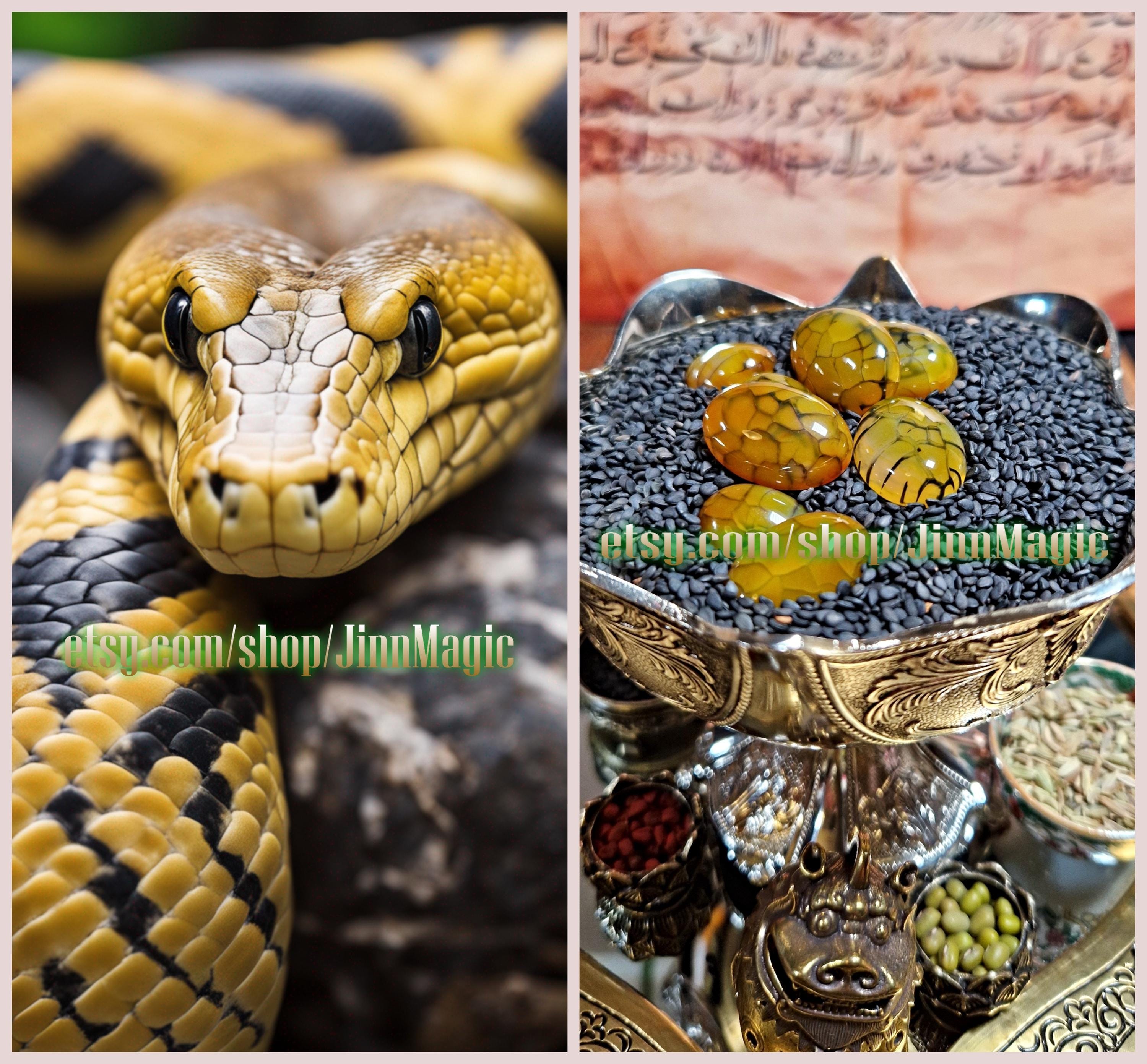 Rare Yellow King Cobra Nagamani Pearl, Magnet for Extreme Luck