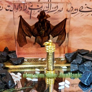 Op de afbeelding: Een sierlijke goudkleurige parfumfles met een heldere glazen buis. Een geconserveerde vleermuis is ingekapseld in een helder rechthoekig blok achter de fles. De achtergrond bevat Arabisch schrift en zwarte stenen.