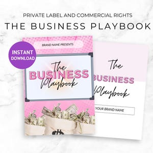PLR Business Ebook, Editable Template for Resell Rights, Digital Product Startup Guide, Passive Income Ideas for Entrepreneurs