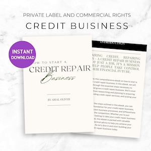Credit Repair Business PLR Ebook- Editable Canva Template | Done-for-You Credit Business Guide | Credit Repair Ebook, How to guide