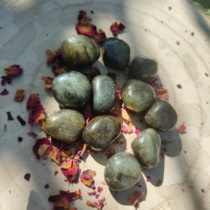 Peut inclure: Une collection de pierres de labradorite roulées dans différentes nuances de vert et de gris. Les pierres sont lisses et polies, avec un léger chatoiement.