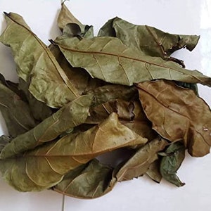 Natural dried hyssop leaves, spiritual cleansing, African hyssop, hyssop leaves