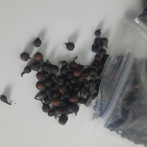 African pepper, natural, guinea pepper, from Sélim