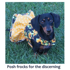 Dachshund Reversible Dog dress outfit wedding clothes small dog custom cute pet clothing image 4