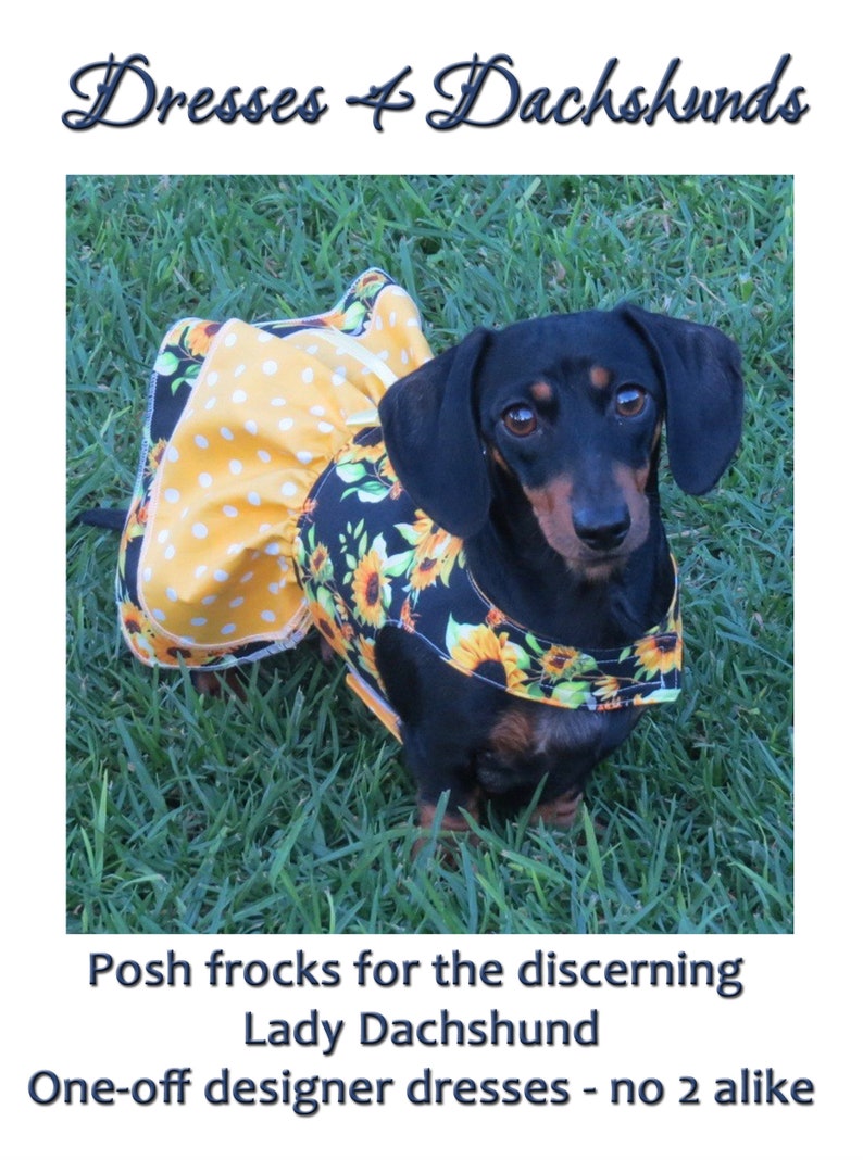 Dachshund Reversible Dog dress outfit wedding clothes small dog custom cute pet clothing image 4