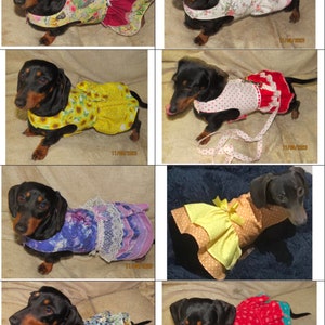 Dachshund Reversible Dog dress outfit wedding clothes small dog custom cute pet clothing image 6