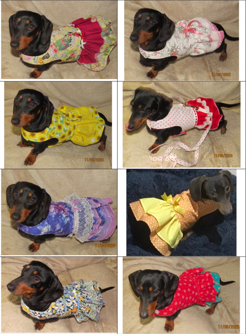 Dachshund Reversible Dog dress outfit wedding clothes small dog custom cute pet clothing image 6