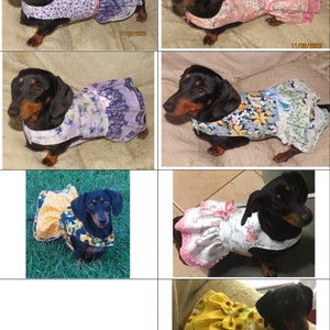 Dachshund Reversible Dog dress outfit wedding clothes small dog custom cute pet clothing image 5