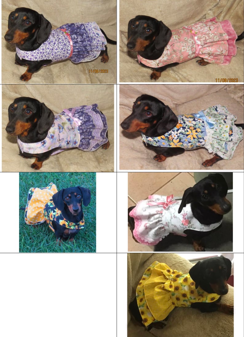 Dachshund Reversible Dog dress outfit wedding clothes small dog custom cute pet clothing image 5