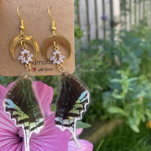 Real Urania Leilus Butterfly Wing Earrings, Real Butterfly Wing Jewellery, Nature Inspired Jewellery, Ethically Sourced, Gifts for Her