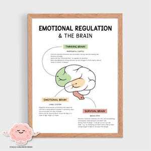 Emotionele regulatie in de hersenen, vechten of vluchten, bevriezingsreactie, overlevingsbrein, overlevingsmodus, emotioneel brein, neurowetenschap, SEL, 0019