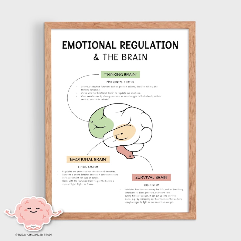 Emotional Regulation in the Brain, Fight or Flight, Freeze Response, Survival Brain, Survival Mode, Emotional Brain, Neuroscience, SEL, 0019 image 1