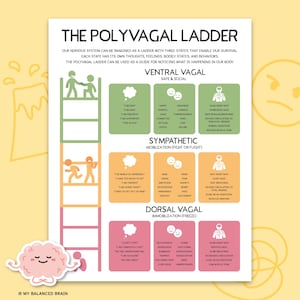 De polyvagale ladder, vagale zenuwstimulatie, veguszenuw, neuroceptie, zenuwstelsel, therapiewerkblad, polyvagale spiekbriefje 0014