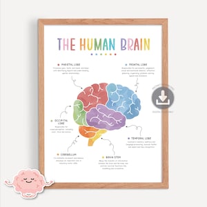 Poster sul cervello umano, stampa sulla connessione mente-corpo, anatomia e funzione del cervello ad acquerello, lobi cerebrali, terapia cognitivo-comportamentale, decorazione per ufficio del consulente, 0023