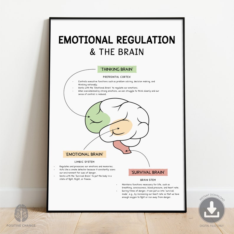 Emotional Regulation in the Brain, Fight or Flight, Freeze Response ...