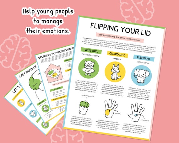 Flipping Your Lid, Emotional Regulation, Hand Model of the Brain Worksheet, Coping Skills, Emotions, Neuroscience, Upstairs Brain 0018