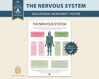 The human nervous system, fight or flight response, rest and digest, parasympathetic, sympathetic, therapy worksheet, polyvagal theory 0014