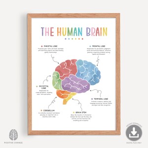 El cartel del cerebro humano, impresión de conexión mente-cuerpo, anatomía y función del cerebro en acuarela, lóbulos cerebrales, TCC, decoración de la oficina del consejero, 0023