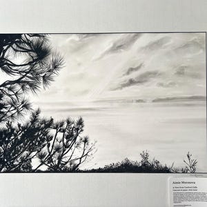 Vista dalle scogliere di Canford. Disegno originale a carboncino e grafite montato e firmato dall'artista. Carboncino su carta Fabriano Artistico.