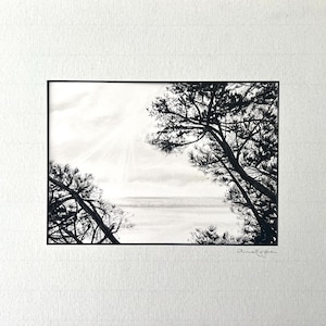 Disegno originale a carboncino e grafite montato su carta Fabriano Artistico di Branksome Beach, firmato dall'artista.