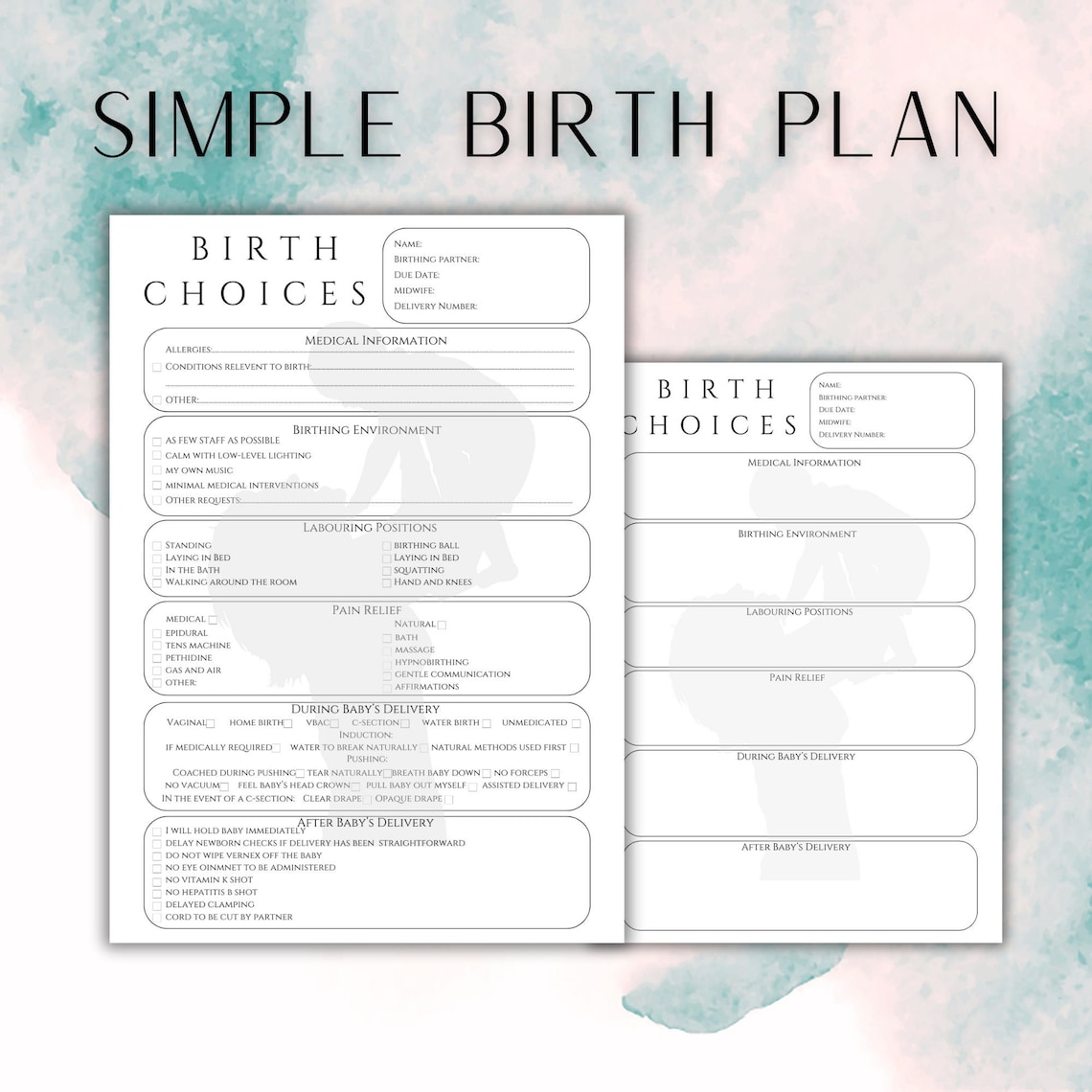 Birth Plan Template Editable Printable Birthing Plan Printable Birthing Birth Plan Template Editable Printable Birthing Plan Printable Birthing