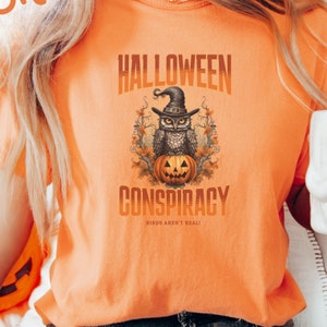 T-shirt complottheoreticus, vogels zijn niet echt, nepvogels, doofpotaffaire van regering, cadeau complottheorie, shirt gelovige Halloween-complotgelovige