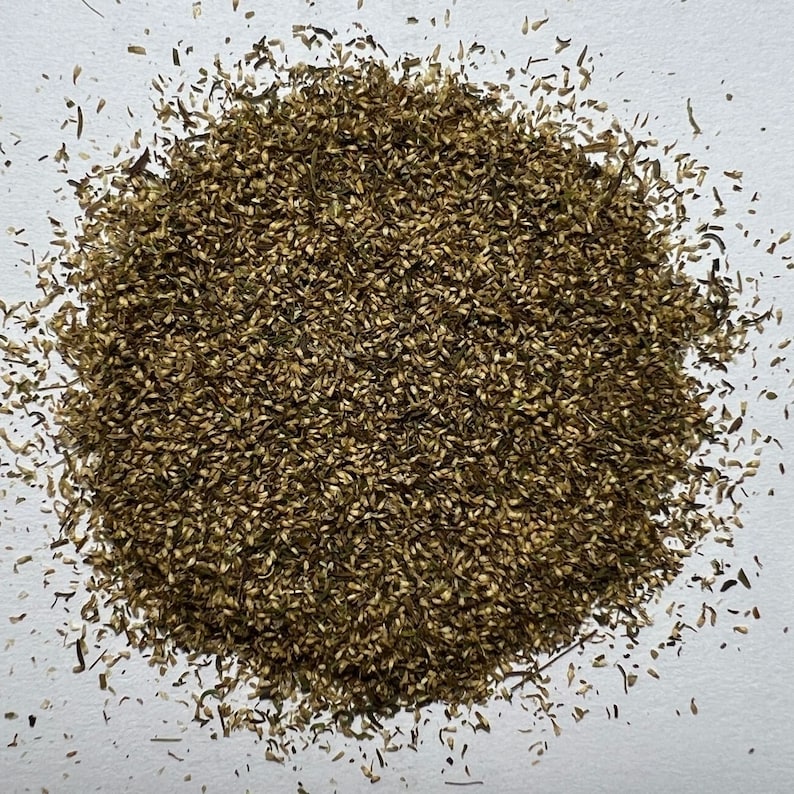 ca. 2000 Artemisia annua Samen Traditionelle Züchtung Einjähriger Beifuß VITINC® Bild 3