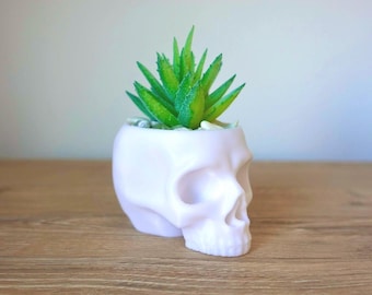 Skull Planter Gothic Home Decor