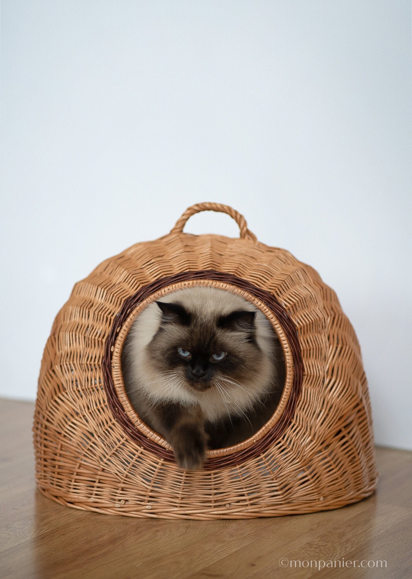 Cat top baskets australia