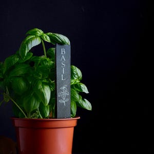 Engraved Slate Plant Markers – 6&quot; Tall, Custom & Pre-Labeled Garden Signs for Indoor and Outdoor Use