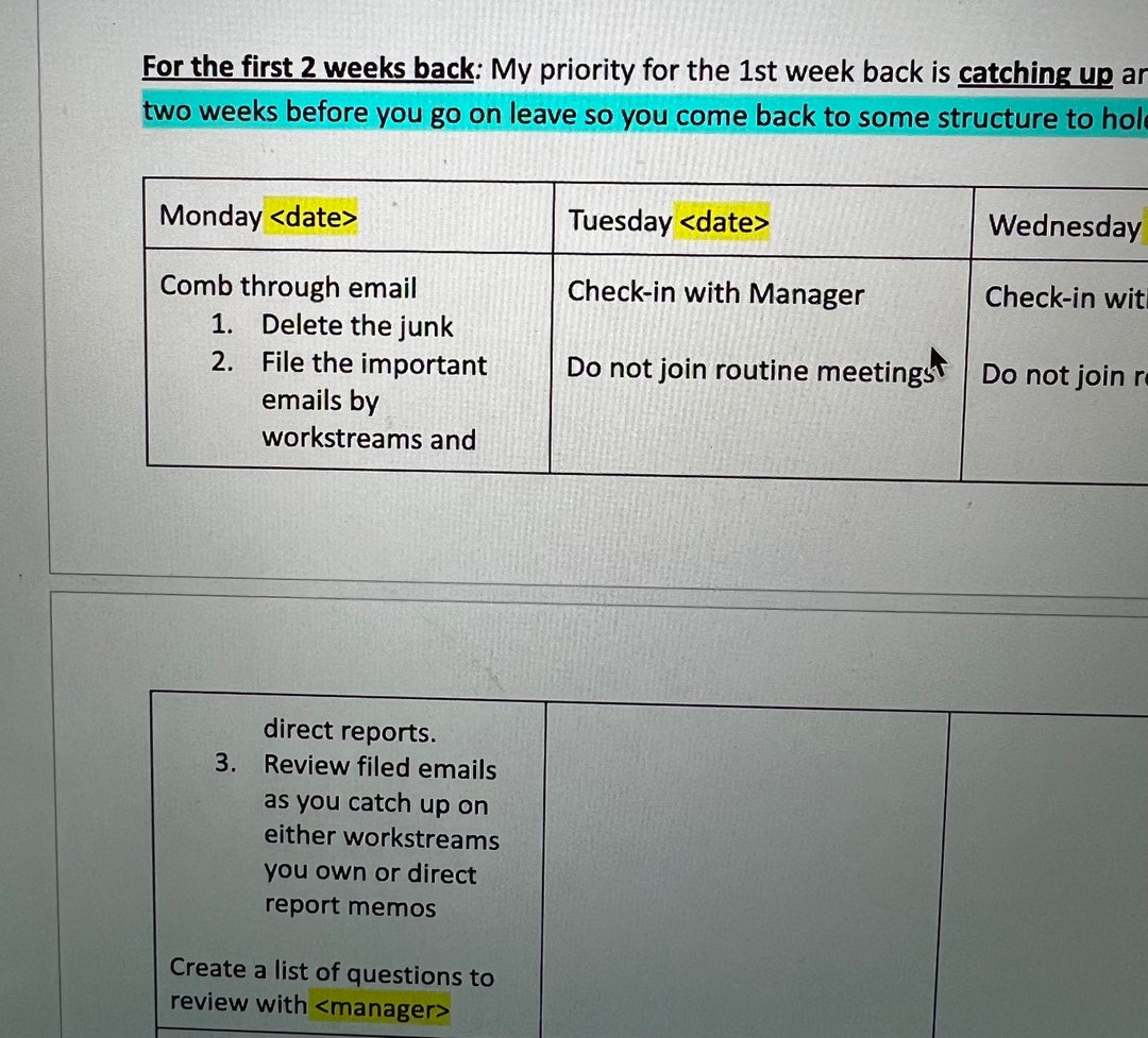 Parental Leave Plan Template Etsy