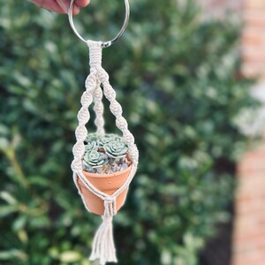 Boho Macrame Succulent Plant Hanger - Car Rearview Mirror Decor / Car Accessories / Macrame Decor / Stocking Stuffer / New Car / Christmas