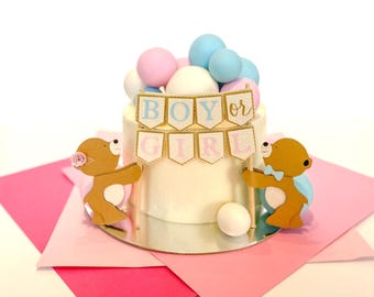 Gender Reveal Cake Toppers: Girl or Boy Baby Shower Party