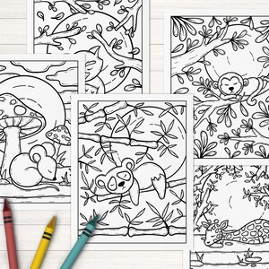 May include: Five black and white coloring pages featuring different animals sleeping in a jungle setting. The animals include a mouse, a panda, a monkey, a giraffe, and a sloth.