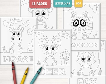 Woodland animals coloring pages for kids, Printable forest animals coloring pages, Cute animal coloring book, Preschool activity printable