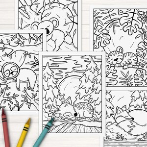 May include: Five black and white coloring pages featuring different animals sleeping in nature. The animals include a sloth, a deer, a fox, a tiger, and a koala.