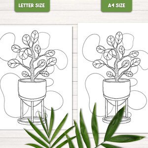 Puede incluir: Un dibujo en blanco y negro de una planta en maceta con un soporte. La planta tiene muchas hojas y ramas. La maceta es redonda y tiene un soporte con tres patas. La imagen est&aacute; disponible en tama&ntilde;os carta y A1.