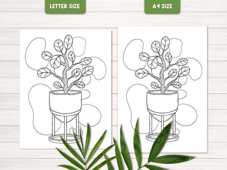 Puede incluir: Un dibujo en blanco y negro de una planta en maceta con un soporte. La planta tiene muchas hojas y ramas. La maceta es redonda y tiene un soporte con tres patas. La imagen est&aacute; disponible en tama&ntilde;os carta y A1.