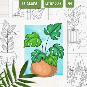 Puede incluir: Un conjunto de 12 p&aacute;ginas para colorear imprimibles que presentan diferentes tipos de plantas en maceta. Las p&aacute;ginas est&aacute;n dise&ntilde;adas para papel tama&ntilde;o carta o A4 y est&aacute;n disponibles para descargar en PDF. Las plantas incluyen una monstera, una higuera de hoja de viol&iacute;n y una planta colgante.