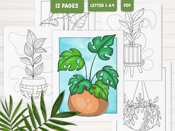 Plant coloring pages for adults, Boho coloring printables, Flower coloring sheets, Floral coloring book, Printable coloring pages flowers
