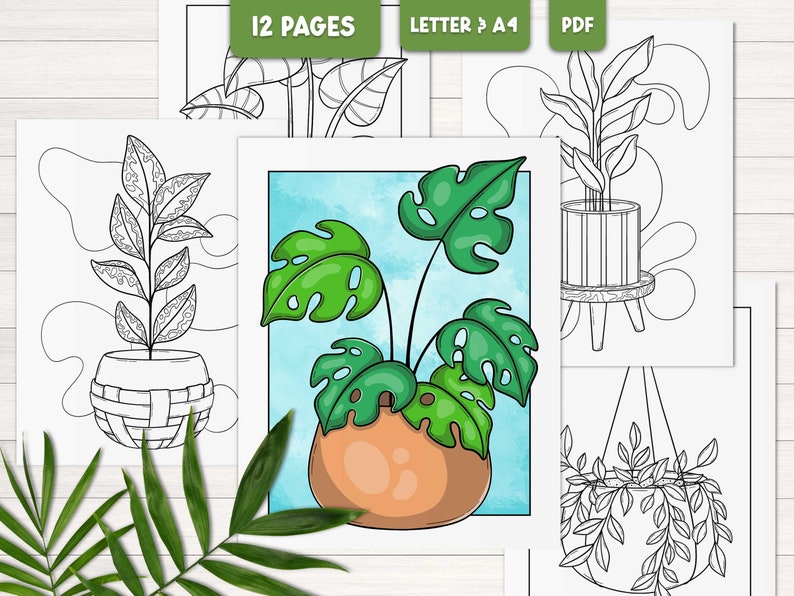 Puede incluir: Un conjunto de 12 p&aacute;ginas para colorear imprimibles que presentan diferentes tipos de plantas en maceta. Las p&aacute;ginas est&aacute;n dise&ntilde;adas para papel tama&ntilde;o carta o A4 y est&aacute;n disponibles para descargar en PDF. Las plantas incluyen una monstera, una higuera de hoja de viol&iacute;n y una planta colgante.