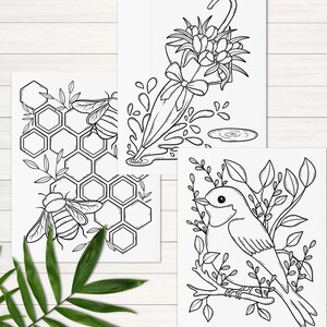 Peut inclure: Trois pages &agrave; colorier en noir et blanc repr&eacute;sentant une ruche avec des abeilles, un bouquet de fleurs avec un parapluie et un oiseau perch&eacute; sur une branche.