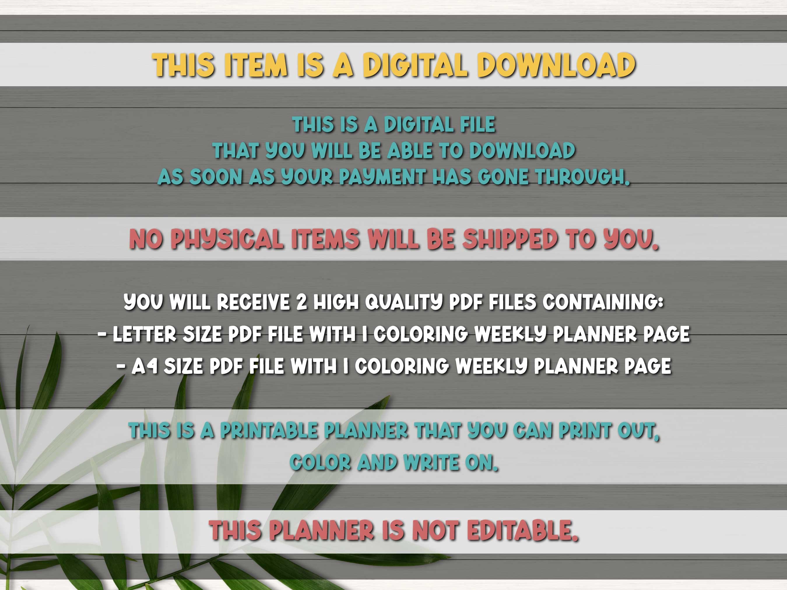 Weekly Planner Printable Floral, Coloring Planner Pages Download ...